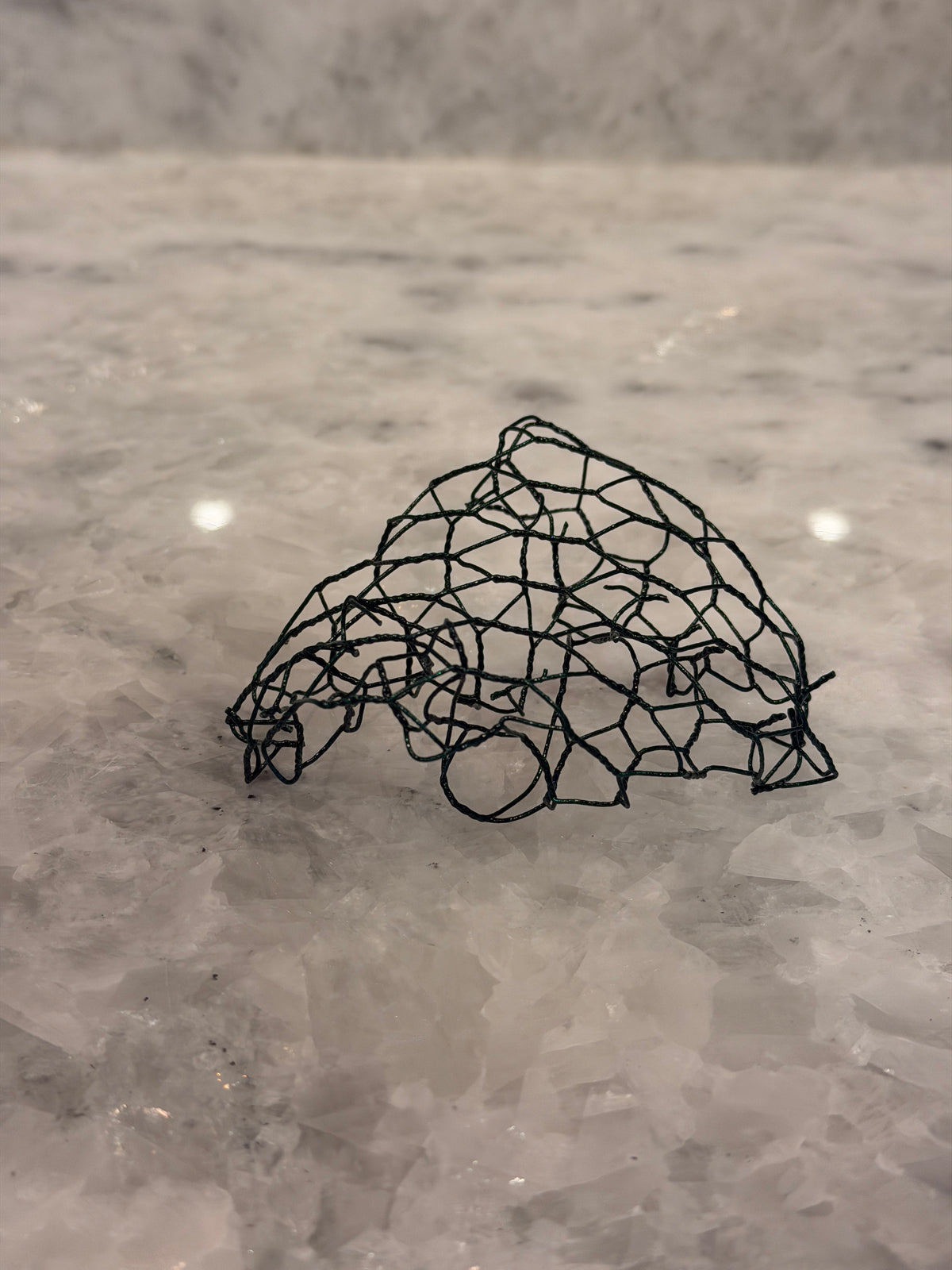 Floral Chicken Wire