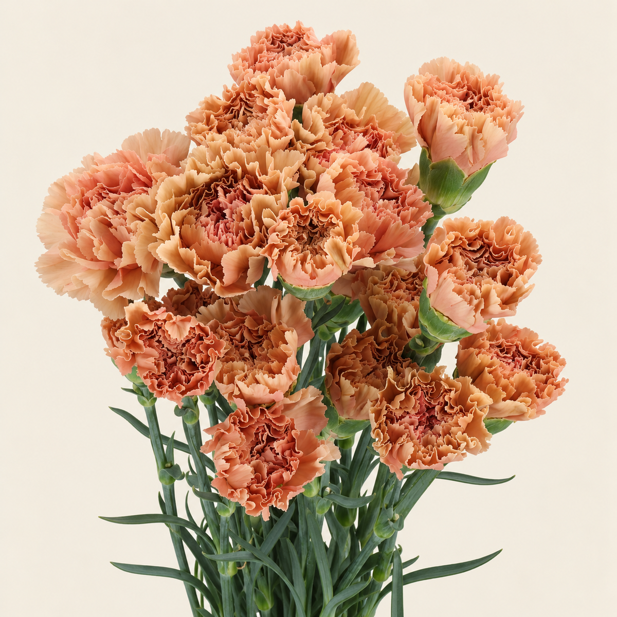 Carnation Honey